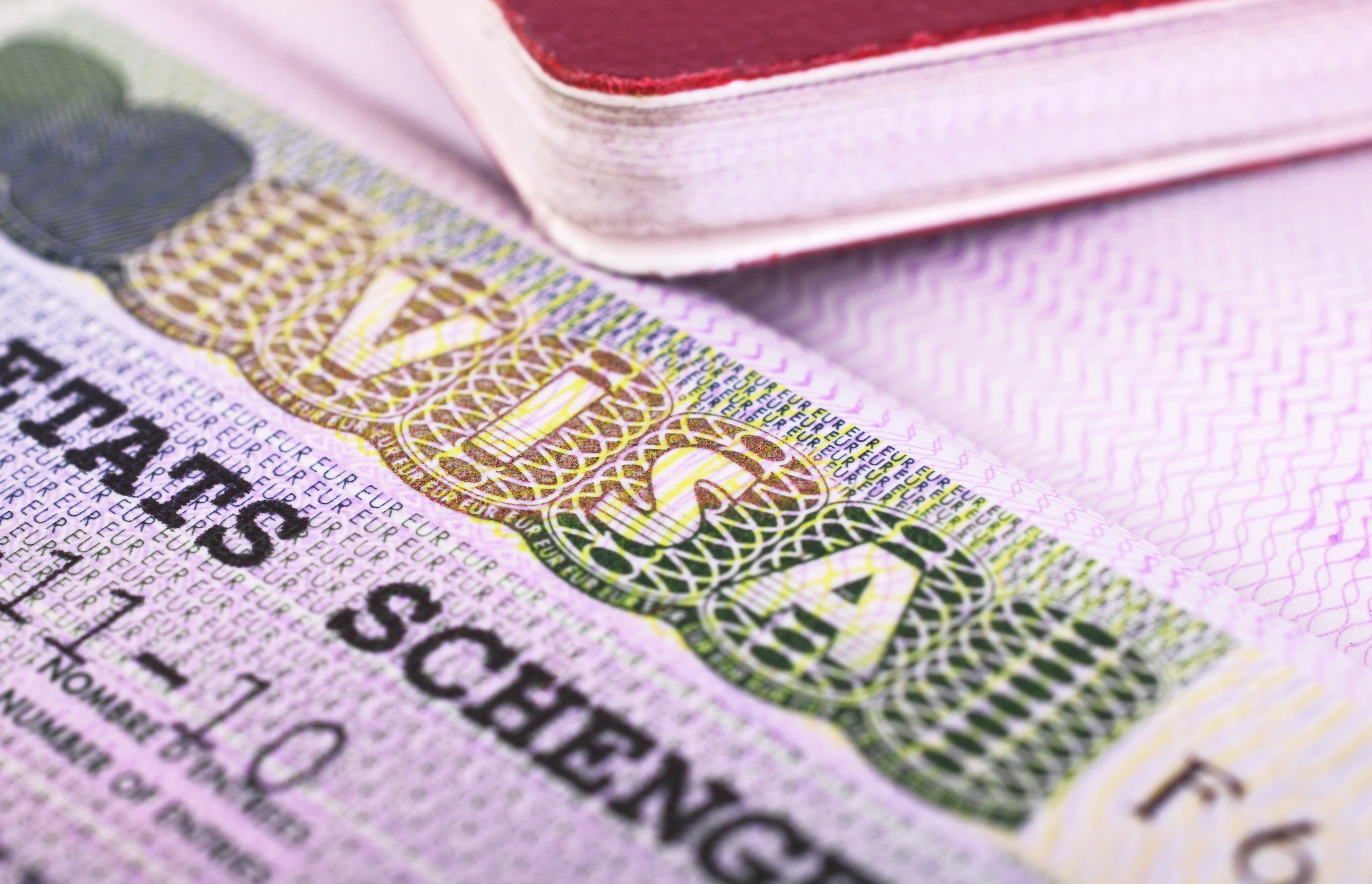 Immigration legal support
